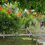 The Olive Grove 度假居
