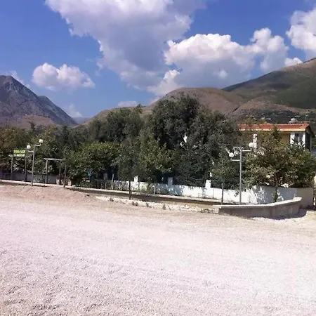 The Olive Grove * Borsh