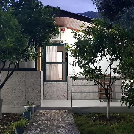 The Olive Grove Holiday home