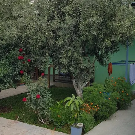 Сasa de vacaciones The Olive Grove Borsh