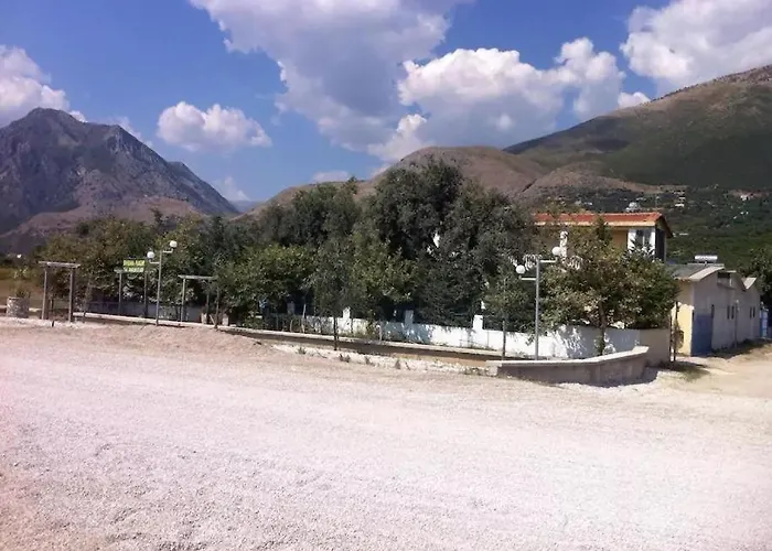 The Olive Grove * Borş