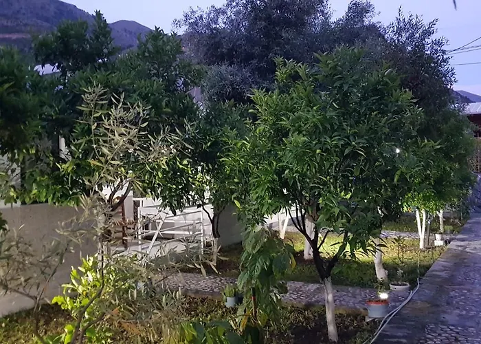 The Olive Grove Borş