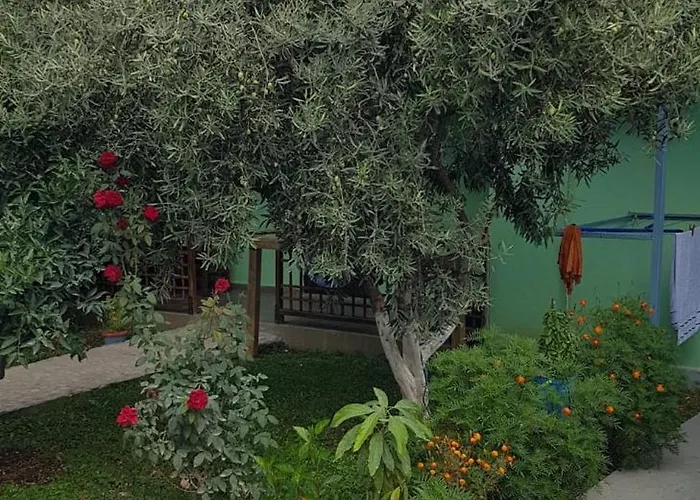 Tatil Evi The Olive Grove Borş