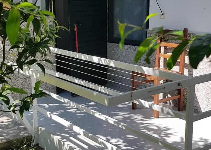 The Olive Grove * Borş