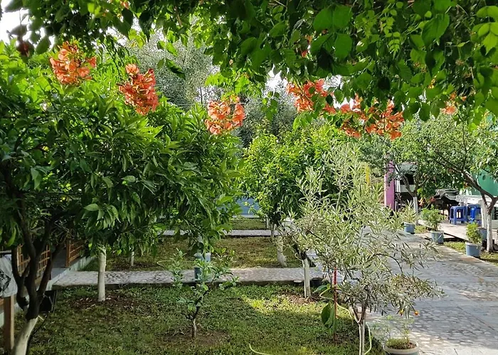 The Olive Grove Tatil Evi